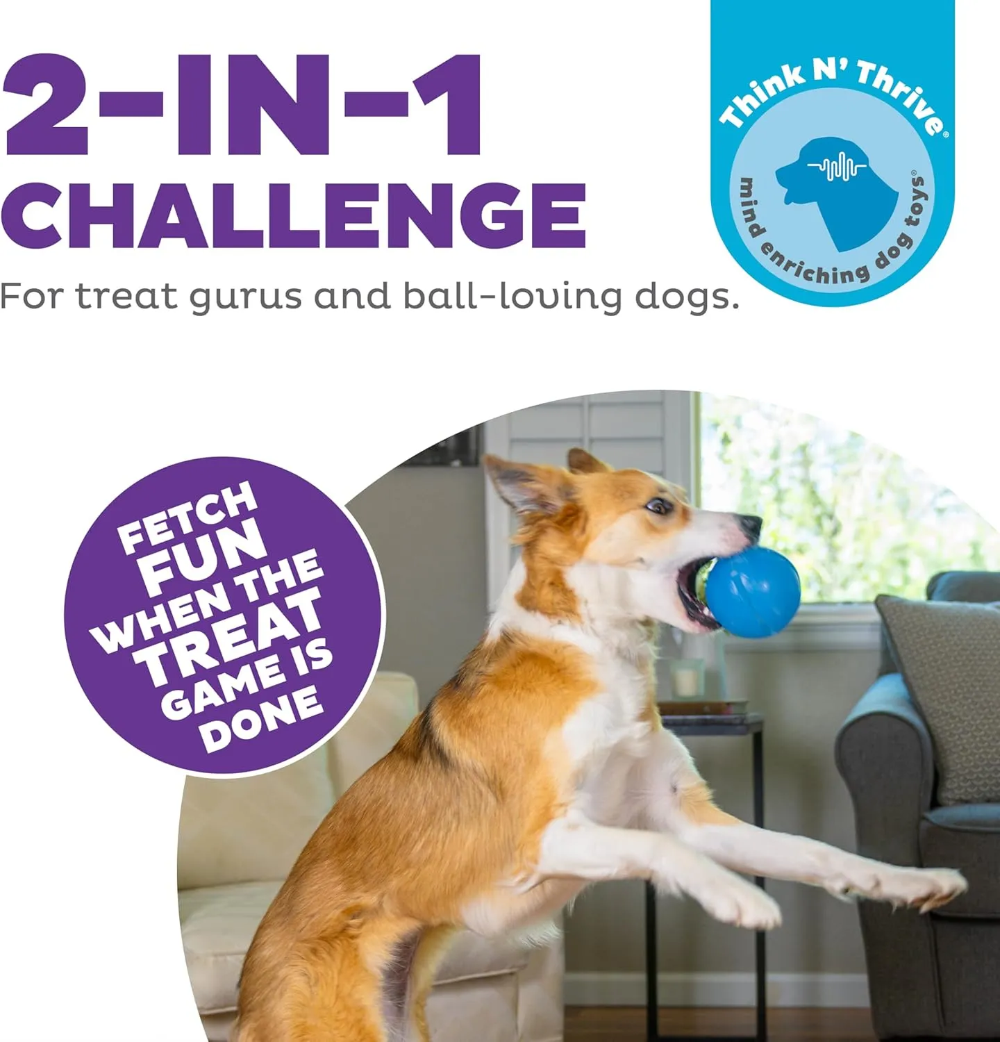 Outward Hound by Planet Dog Guru Treat-Dispensing Puzzle Ball Dog Toy, Blue