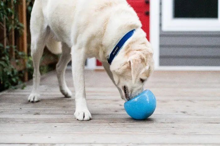 Outward Hound Orbee-Tuff SNOOP Toy (Sizes)