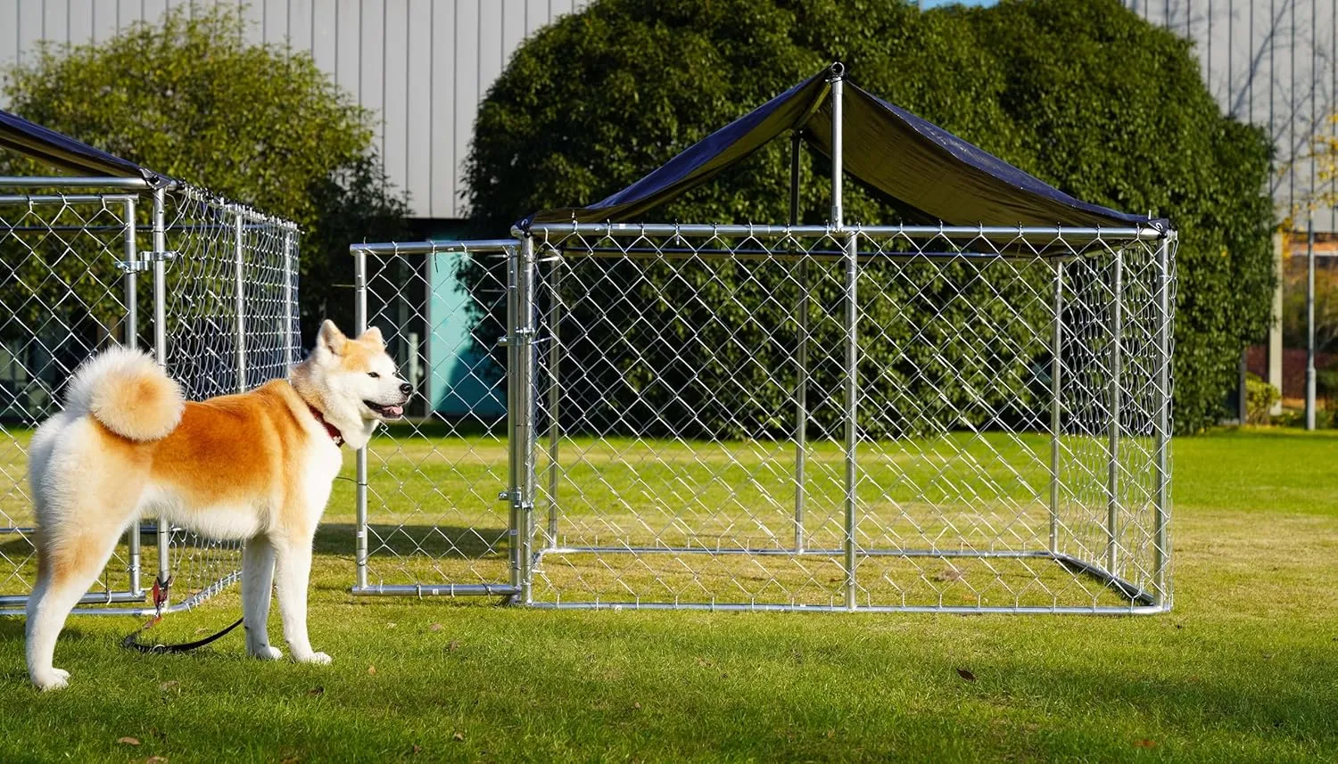 Petonly Outdoor Dog Enclosure Heavy Duty Dog Kennel House Mesh Dog Big Cage Pet Kennel Steel Fence with Secure Lock (79x 79)