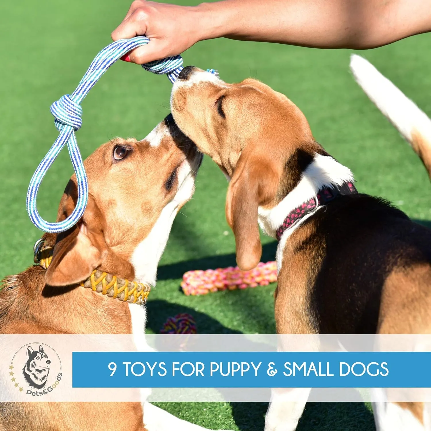 Pets&Goods Heavy Duty Rope Toy for Active Chewers, Washable 100% Cotton Dog Chew Toys - Tug of War, Pack of 9 Puppy Teething Toys (Small Breed, 9, Count)