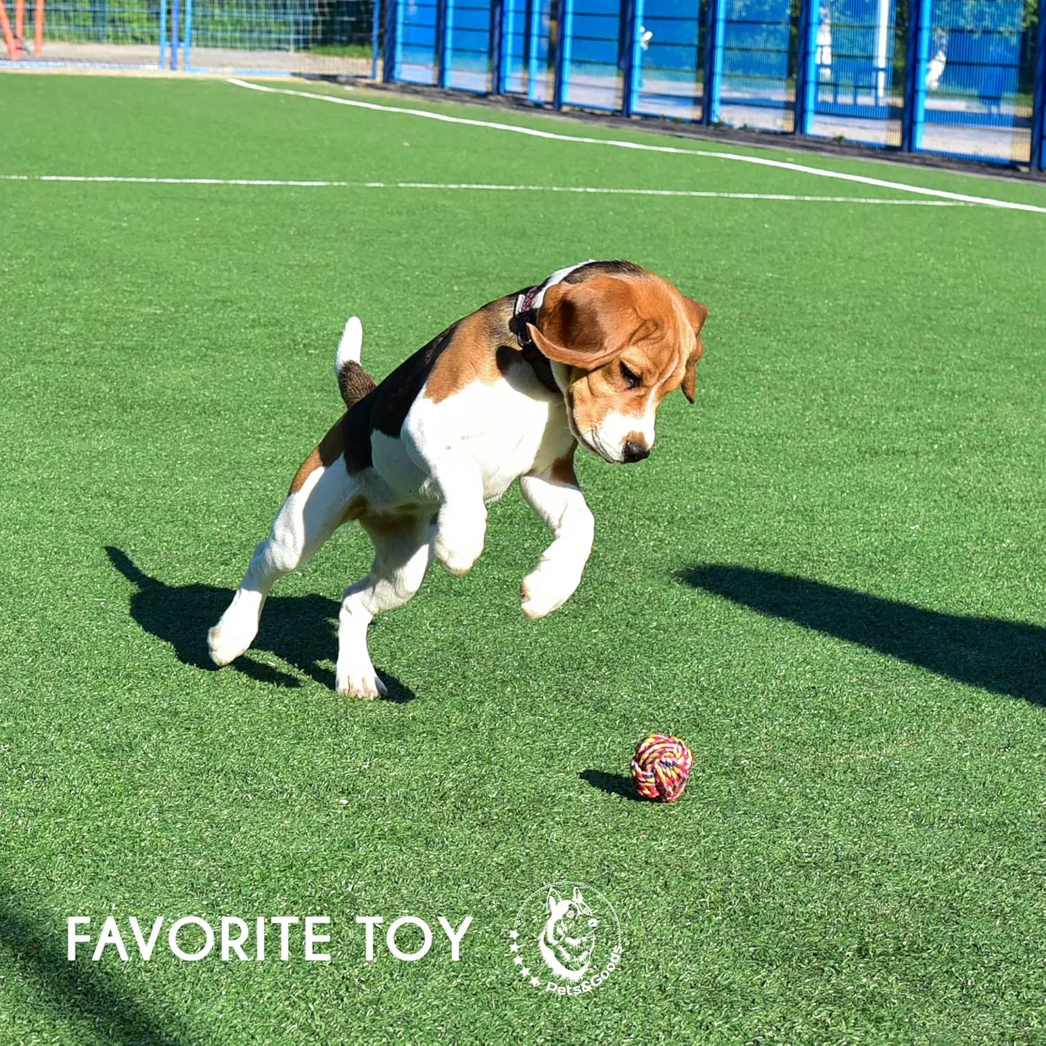 Pets&Goods Heavy Duty Rope Toy for Active Chewers, Washable 100% Cotton Dog Chew Toys - Tug of War, Pack of 9 Puppy Teething Toys (Small Breed, 9, Count)