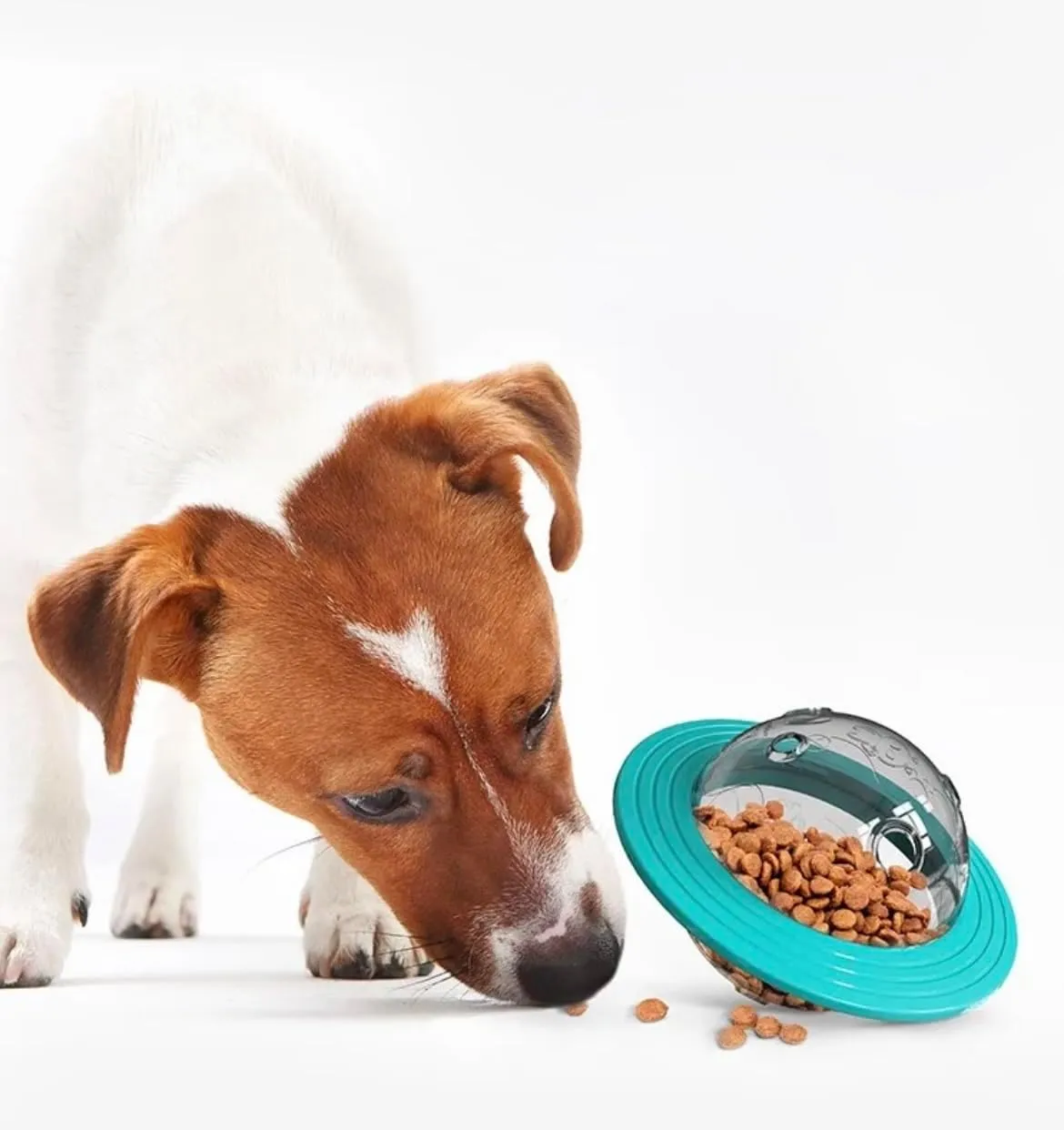 Puzzle Toys for Middle-Size Dogs , Nontoxic Bite-Resistant Dog Treat Feeder
