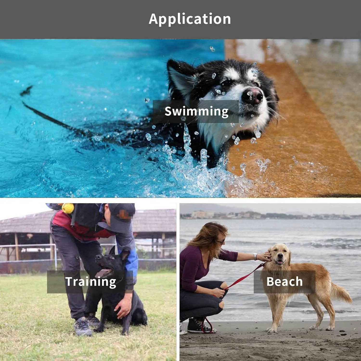 Waterproof Long Leash Durable Dog Recall Training Lead Great for Outdoor Hiking, Training, Yard, Beach and Swimming (Black, 10ft)