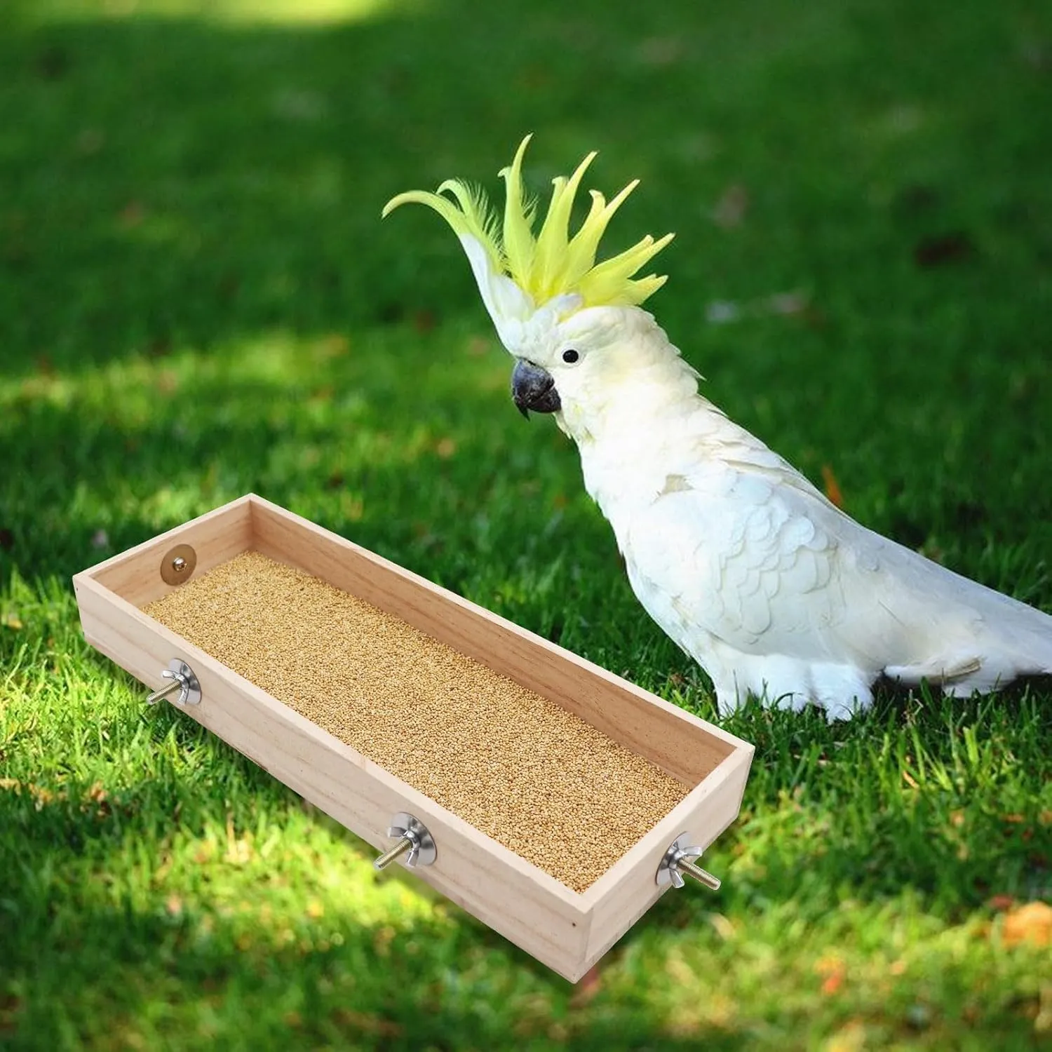 Wooden Parrot Bird Feeding Cups, Perch Stand, Food Dish, Cage Standing Bowl Toy for Small Animals, Parakeets, Budgies, Love Birds, Rats
