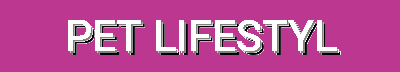 Pet Lifestyle Gear & Safety Essentials | Automatic Dispensers, Cooling Beds, Toys, Travel Safety